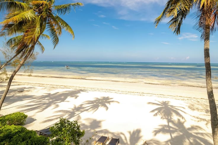 4-Day Zanzibar & Nyerere Safari