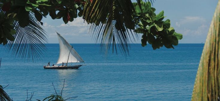3-Day Zanzibar to Nyerere Fly-in Safari