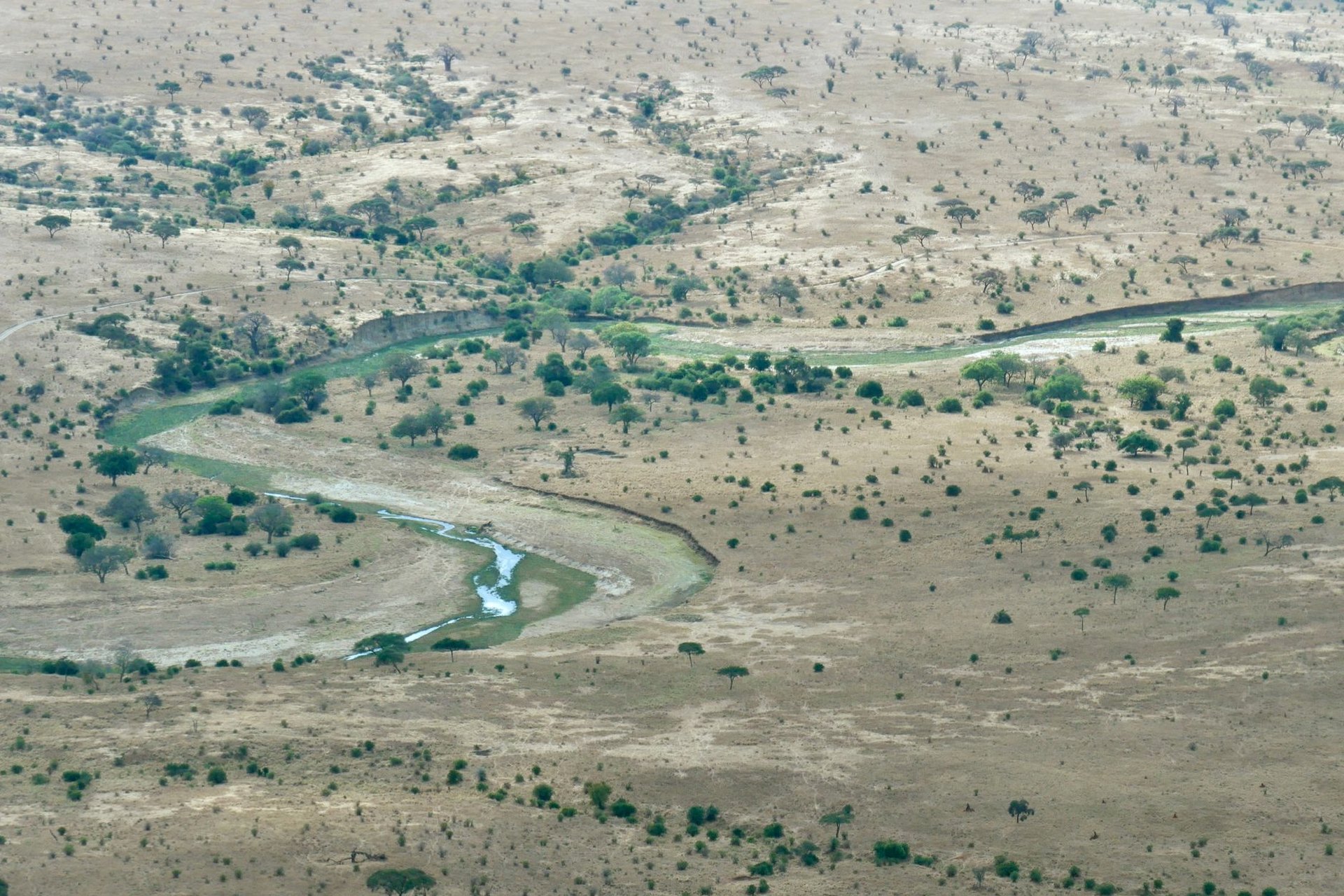 3-Day Nyerere Fly-in with 2 Game Drives