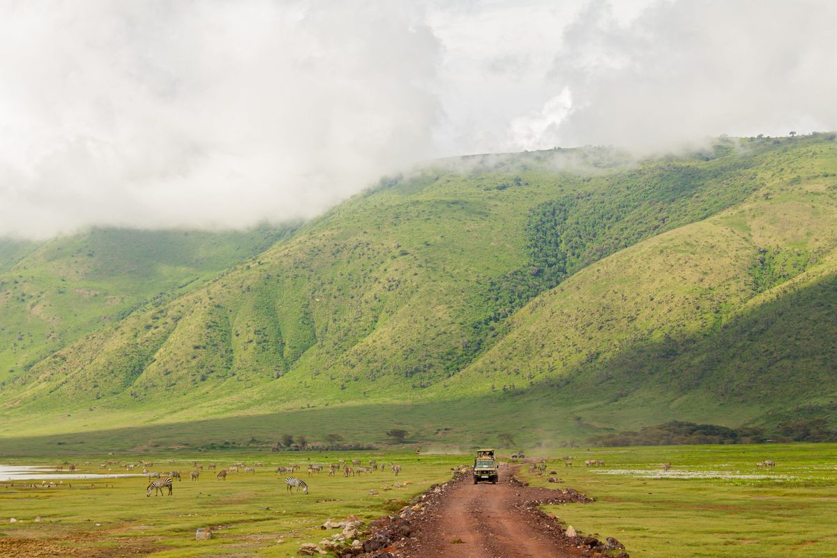 Ngorongoro